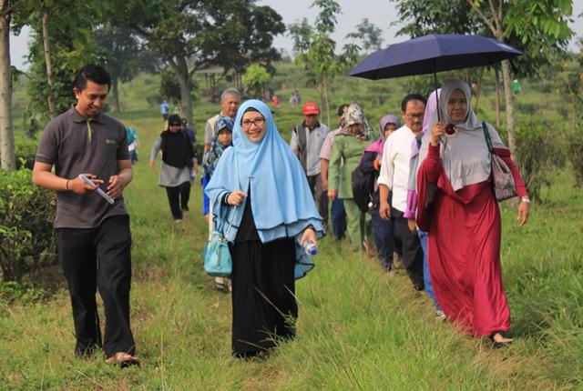 ratusan-donatur-tinjau-perkembangan-fmp-lewat-helatan-tea-walk