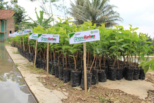 masyarakat-indonesia-kian-peduli-lingkungan