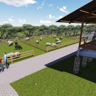 sedekah produktif, kambing, domba, sapi, peternakan, ternak, sinergi foundation