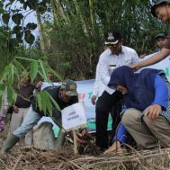 kurban, green kurban, penghijauan, bumi