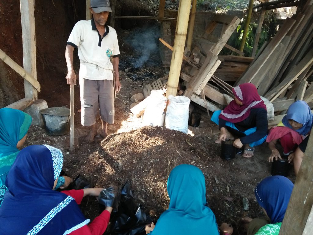 lumbung desa, ciwangi, pemberdayaan, pekarangan