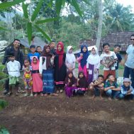 lumbung desa, sayur organik, sampah
