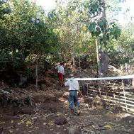lombok, let's help lombok, gempa bumi, bencana alam, pipanisasi