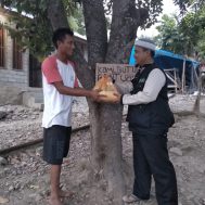 palu, gempa bumi, bencana alam, sembako