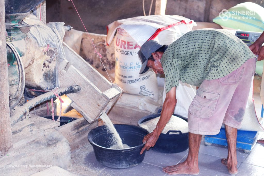 lumbung desa, petani, pertanian, tengkulak, beras, sinergi foundation, sinergi zakat
