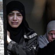 palestina, gaza, green kurban, sedekah, palestina, gaza