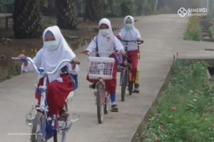 masker, masker n95, asap riau