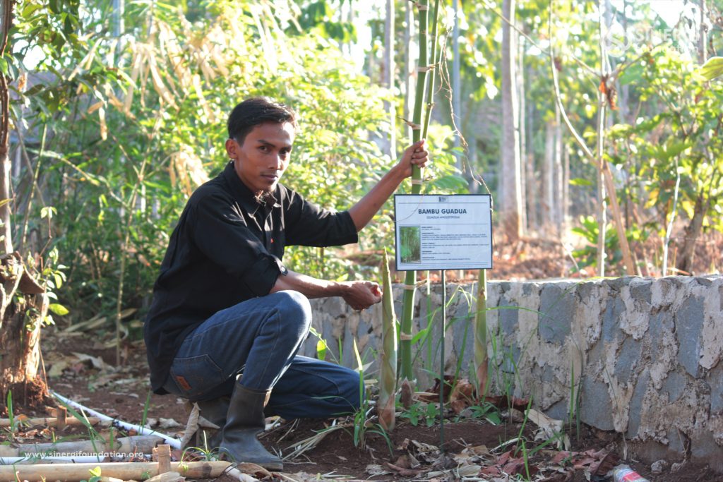 bambu, guadua, pemberdayaan