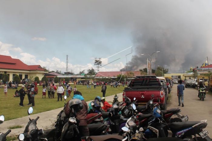 wamena