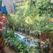lumbung desa