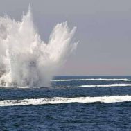 fish bank, terumbu karang