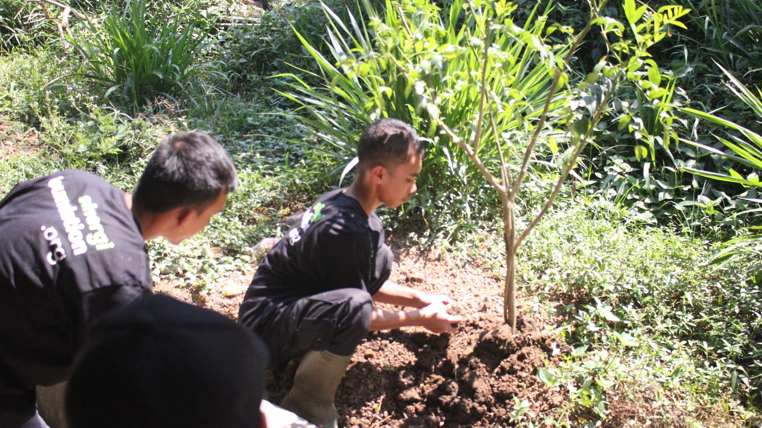 zero waste, waqf integrated farm, peternakan, green kurban, kurban
