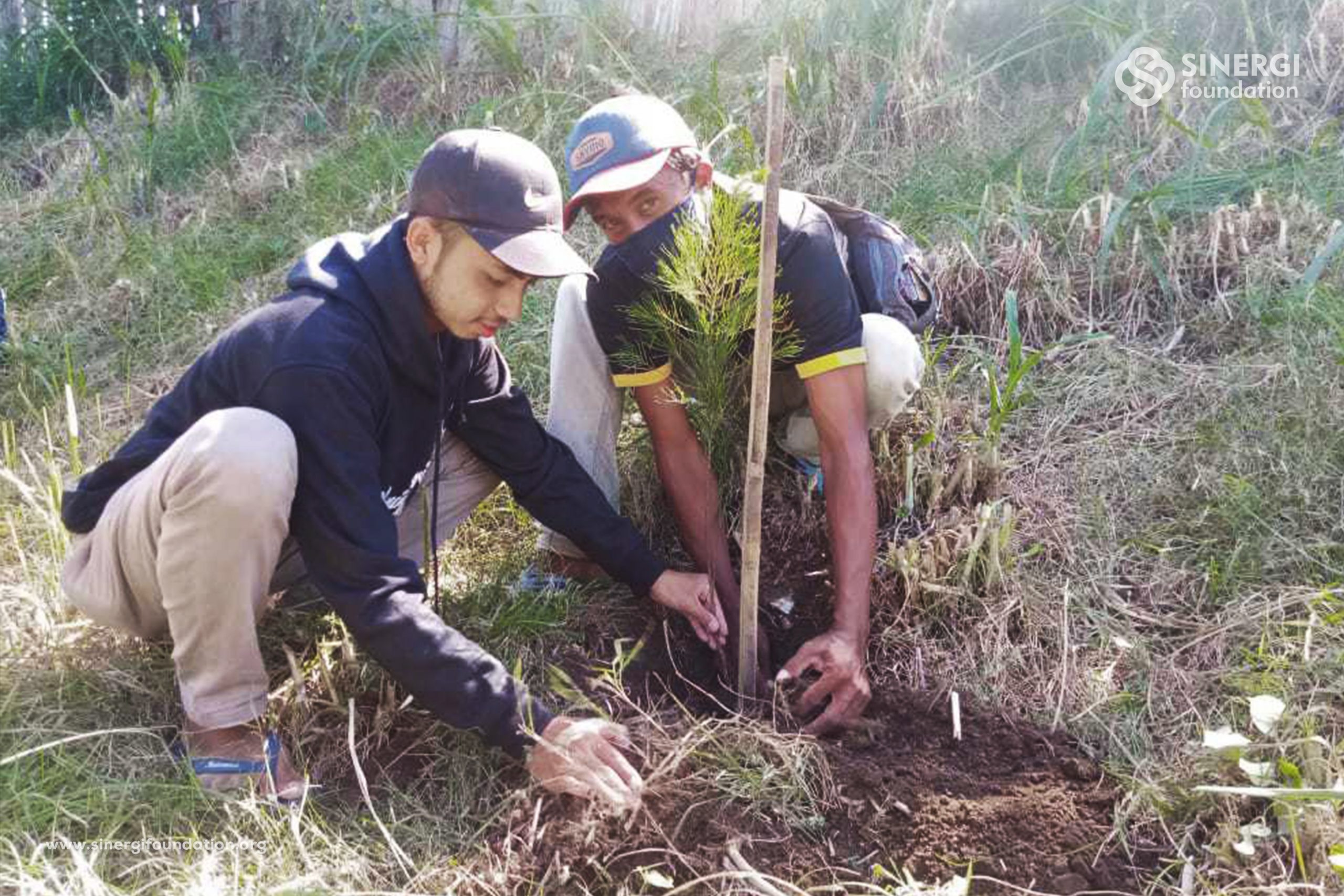 pantai bomo, nelayan, pemberdayaan, cemara,