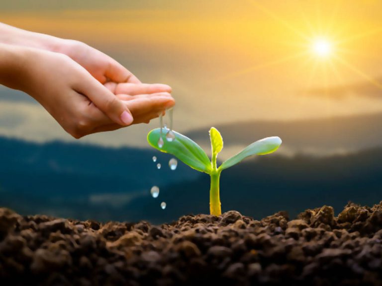 Mengapa Wakaf Harus Produktif? Sinergi Foundation