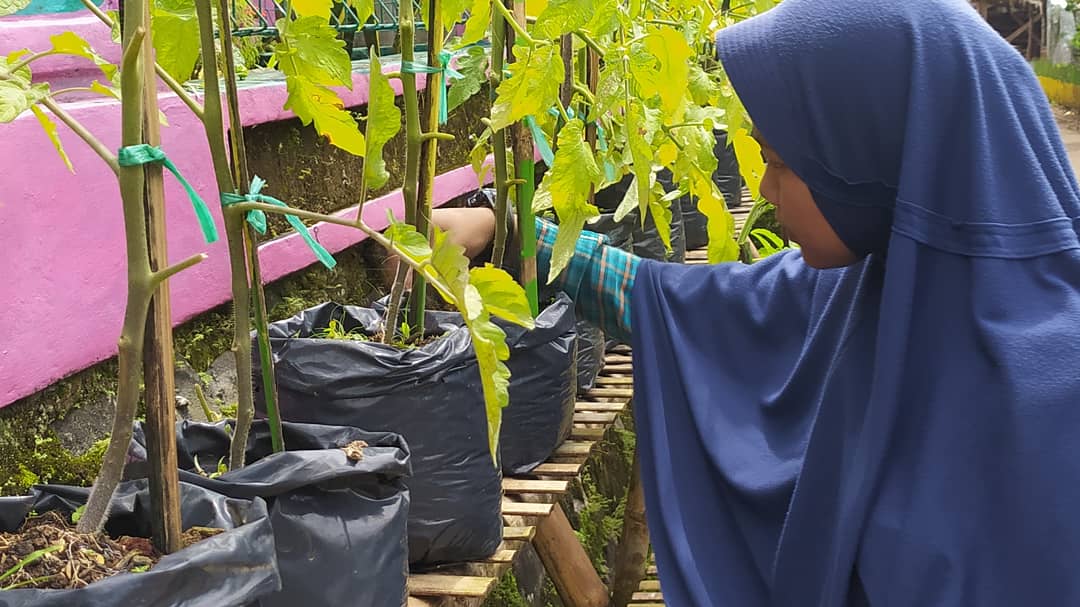 lumbung desa, penataan lingkungan, pemuda cibaeud