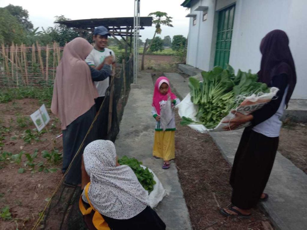 zakat, lumbung desa