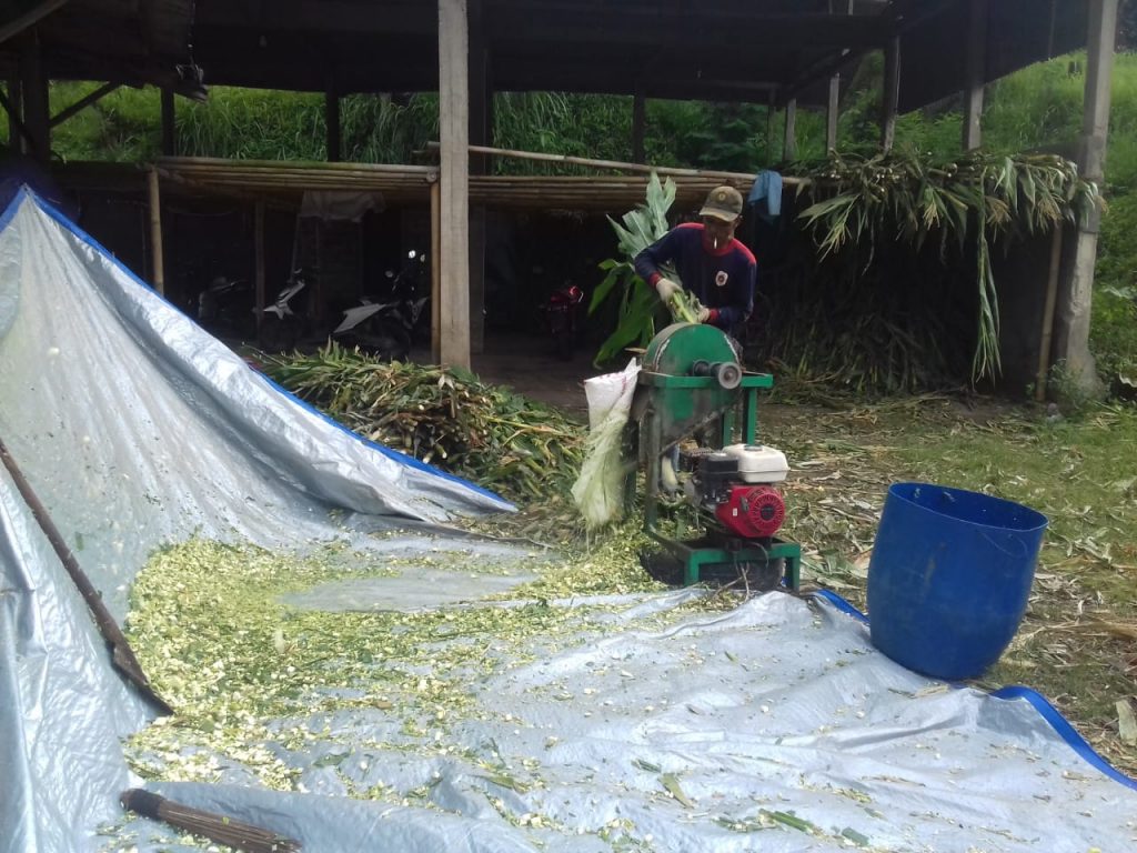 Waqf Integrated Farm, kurban, kambing, peternakan