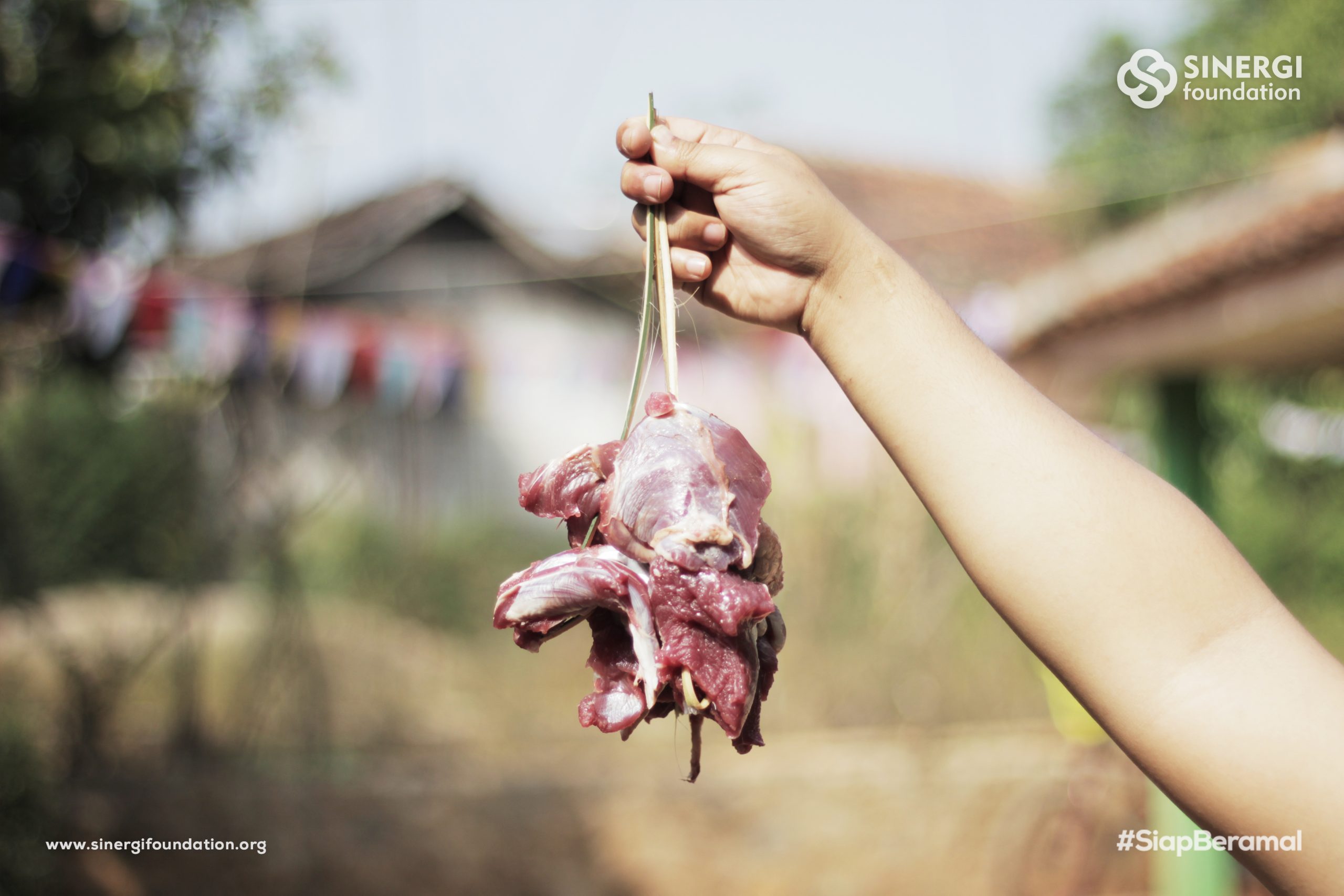 canting bambu, green kurban