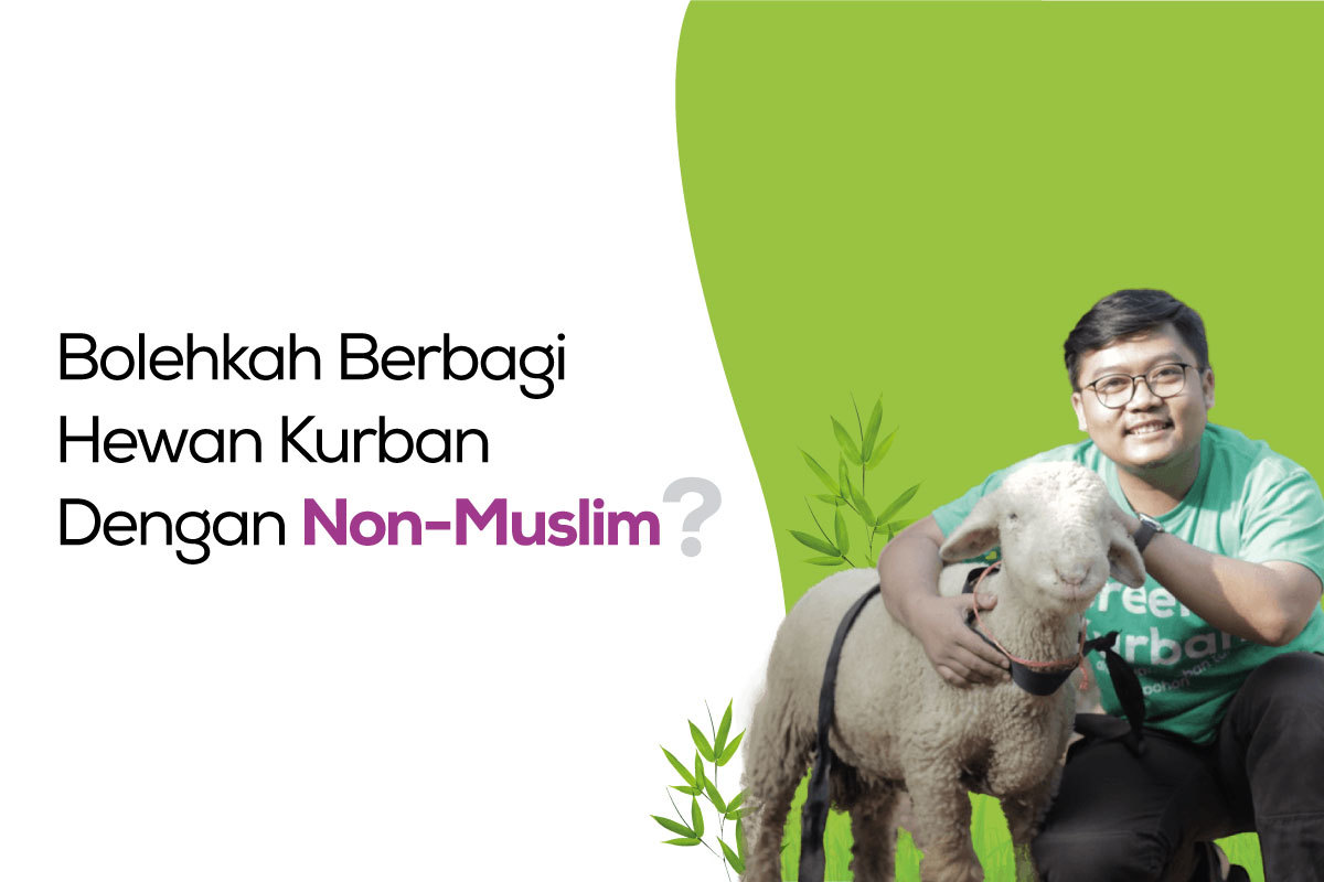 kurban