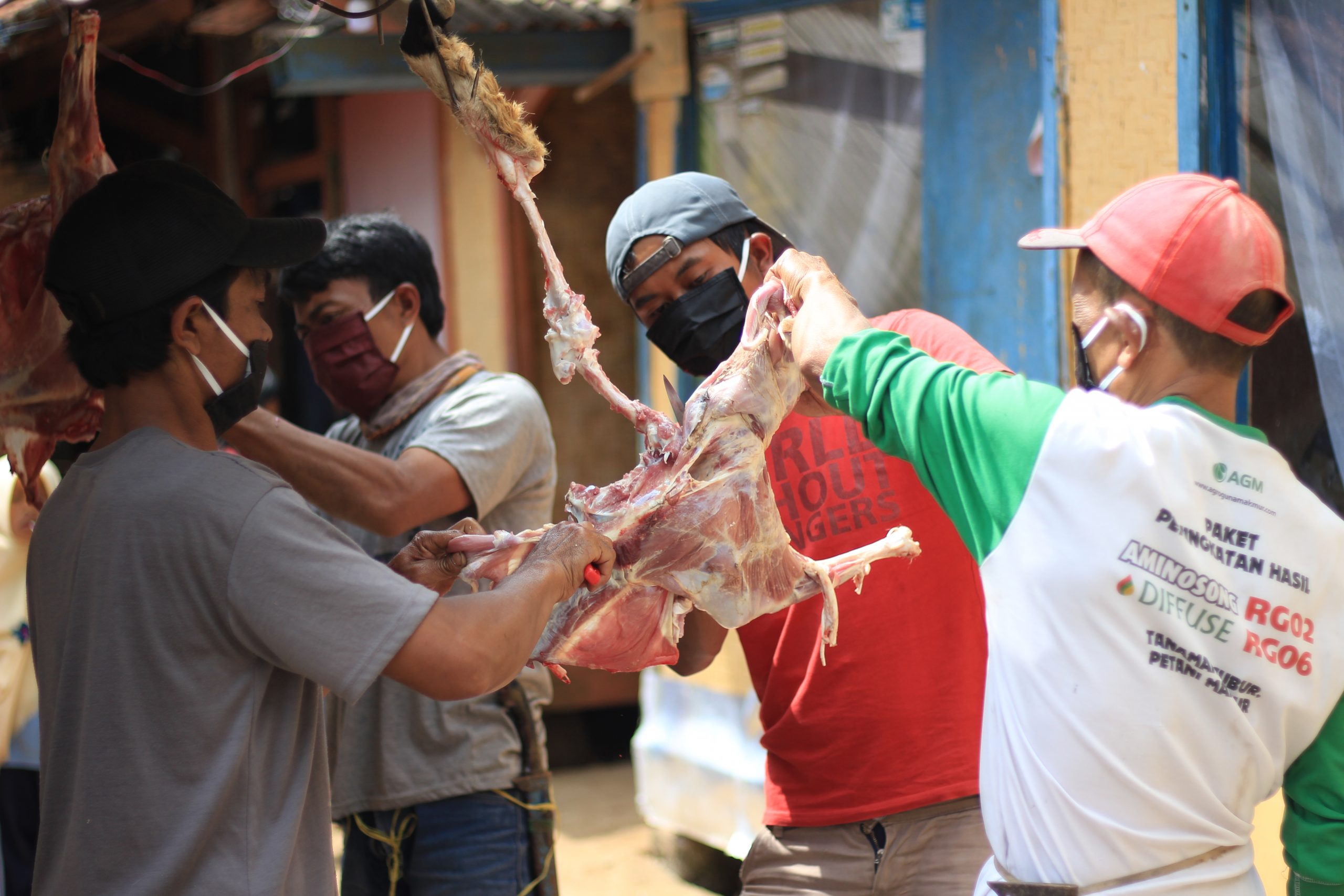 kurban, green kurban, daging