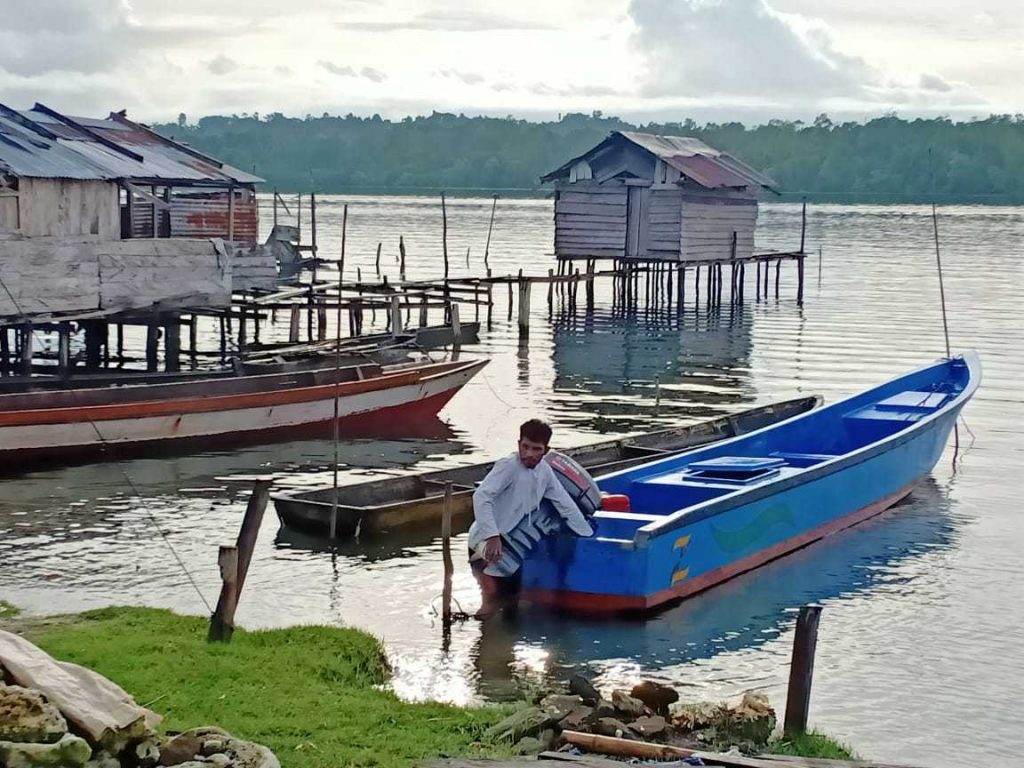 green kurban, kurban, papua, salawati