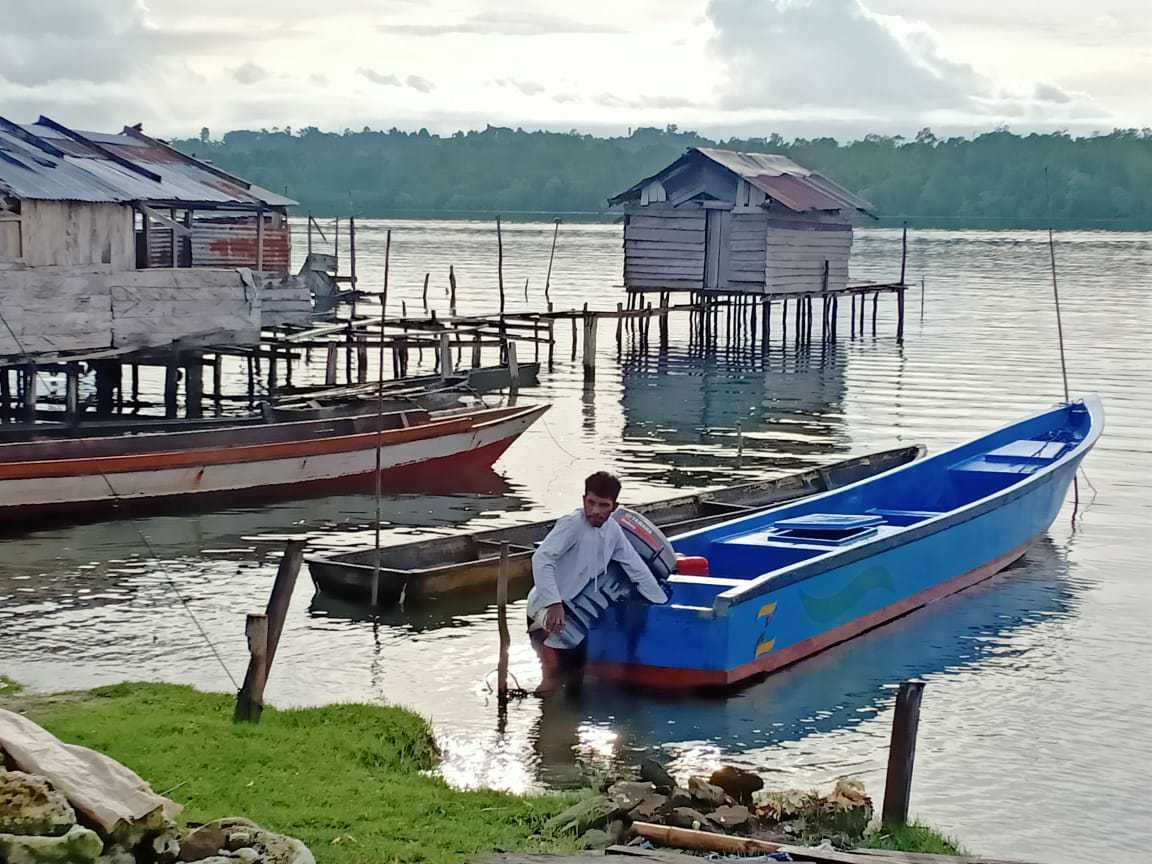 green kurban, kurban, papua, salawati