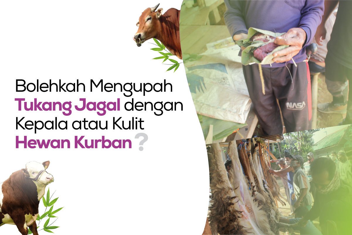 kurban