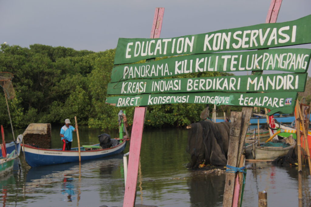 mangrove, konservasi, nelayan, banyuwangi