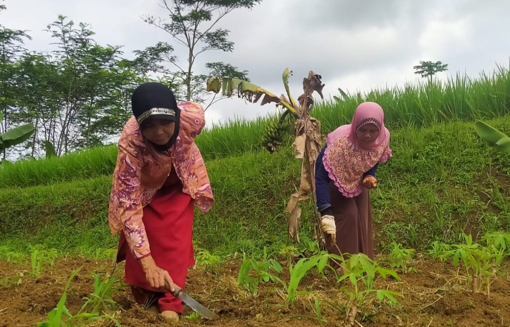lumbung desa, petani, pemberdayaan, zakat