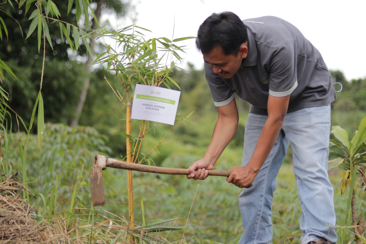 krisis iklim, green kurban, pohon, solar cell
