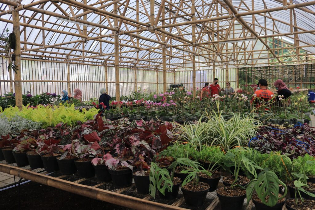 anggrek, teras lembang, halal tourism, sinergi foundation, wakaf