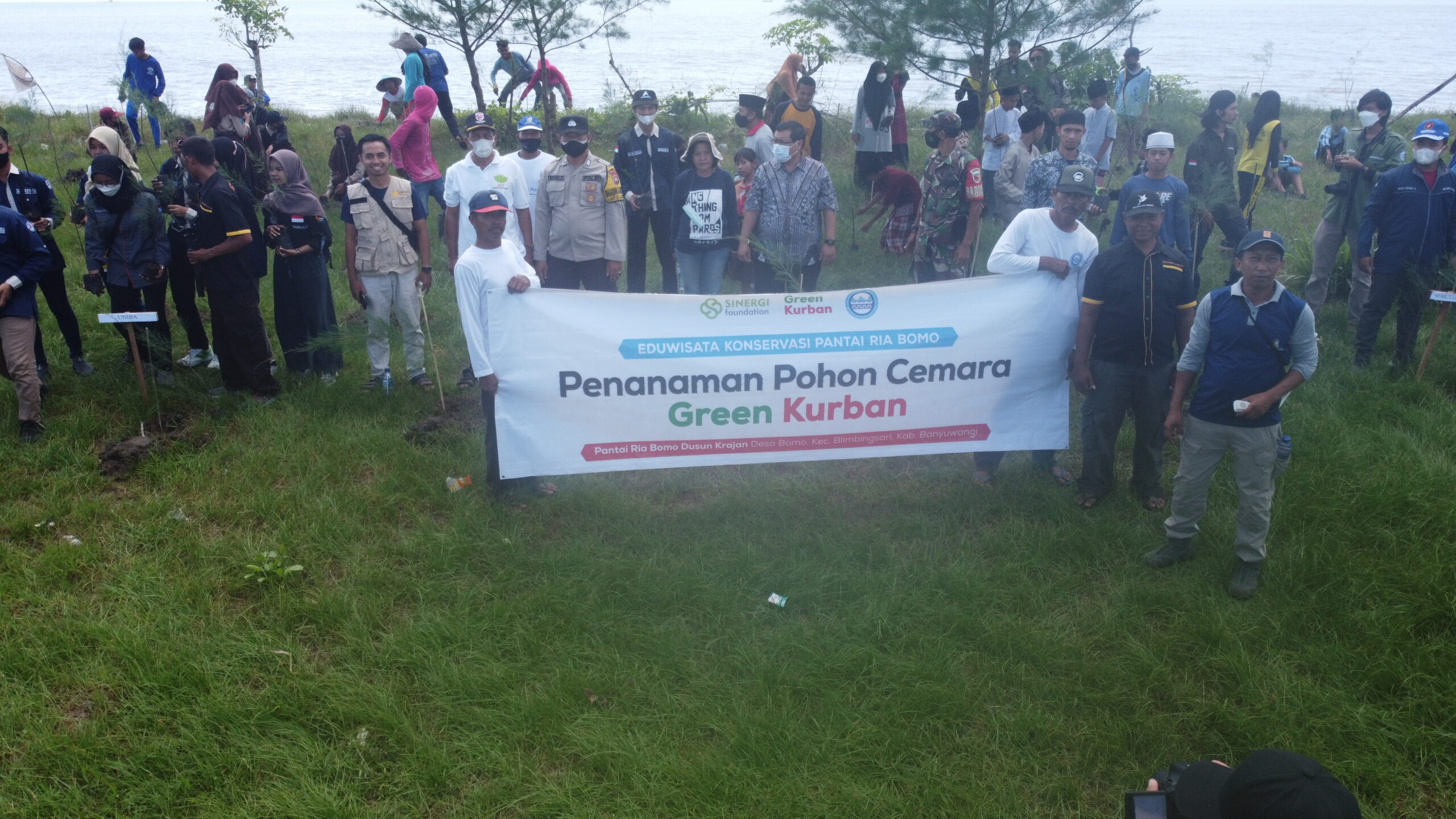 Penanaman Pohon Cemara Green Kurban Sinergi Foundation