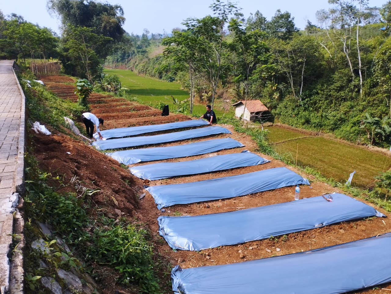 firdaus memorial park, sinergi foundation