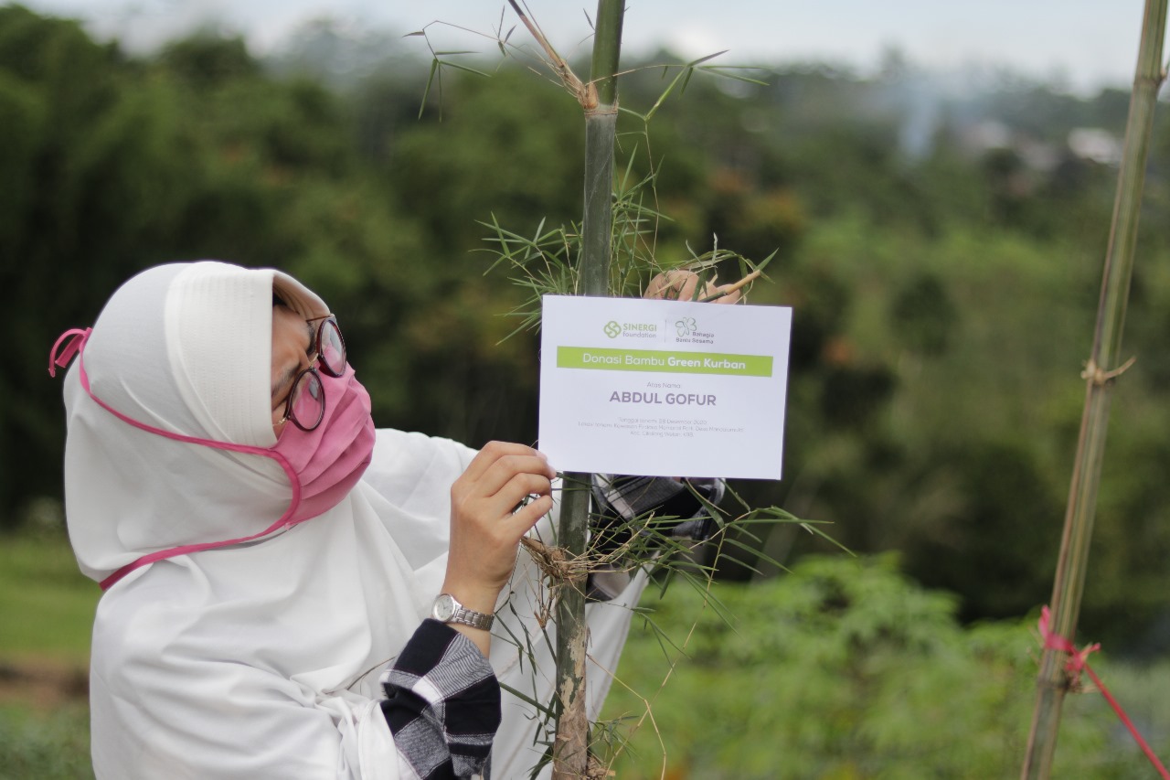 Kondisi 38 Ribu Pohon Green Kurban: Tumbuh dan Terawat, Ini Rahasianya!